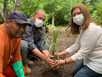 A professora Sônia Pinheiro participou da ação de plantio da carnaúba juntamente com o engenheiro agrônomo do CCA/UFC, Alípio Leão, e o funcionário que presta serviços à Prefeitura de Maracanaú, Francisco de Assis (Foto: Divulgação)