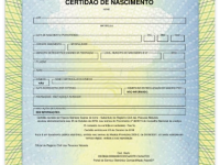 modelo certidão. (Foto: divulgação Central das Certidões)